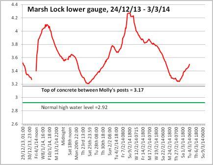 Marsh graph 1, Mar 3rd