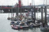Fleet in Harwich Harbout